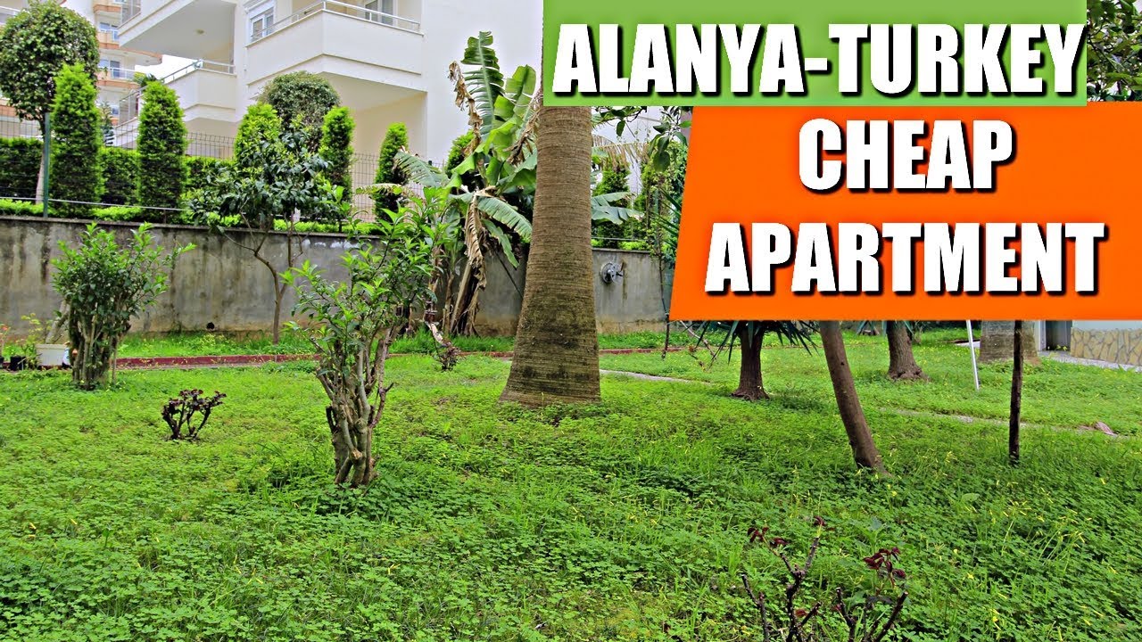 Turkey Real Estate // Cheap Apartment in Mahmutlar Alanya // Property
