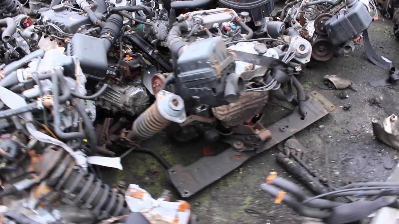 Het leven op de sloop