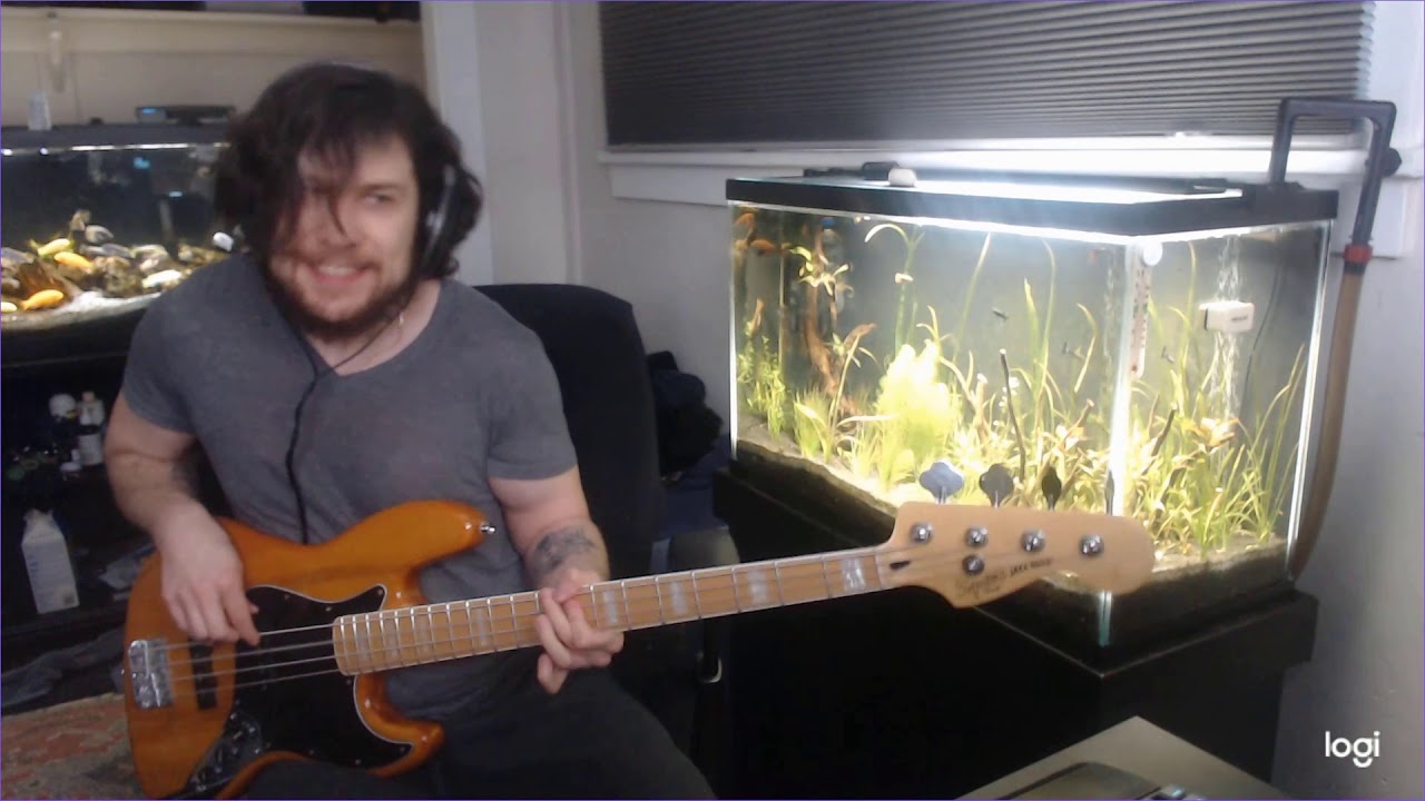 Nine Inch Nails - Closer Bass Cover