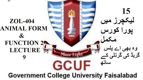 lecture 9 animal form and function 2 zol-404