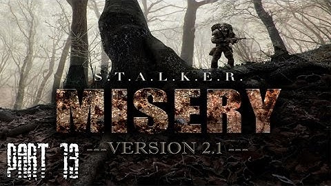 S.T.A.L.K.E.R. Call Of Pripyat (MISERY 2.1.1) - Part 13