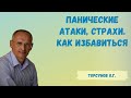 Торсунов О.Г.  Панические атаки, страхи  Как избавиться