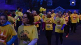 Edenderry's Darkness into Light 2016