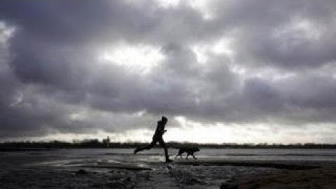 Popular weather app collects unusual amounts of data from Android phones worldwide: Security experts