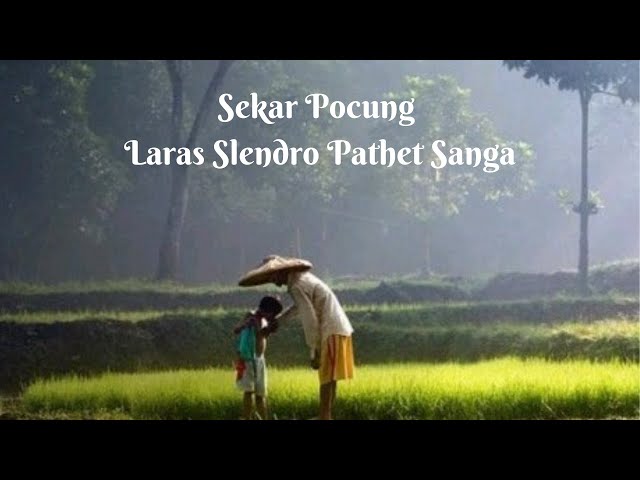 Sekar Pocung Laras Slendro Pathet Sanga #macapat class=
