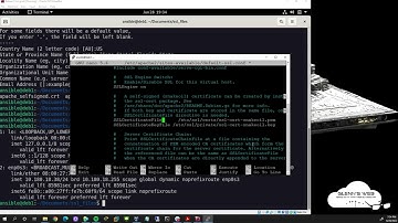 Make Apache2 HTTPS using a self signed certificate