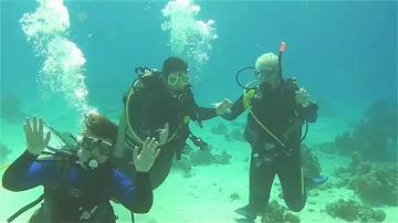 Leer duiken bij Duikvereniging Het Onderwaterbos - Sassenheim