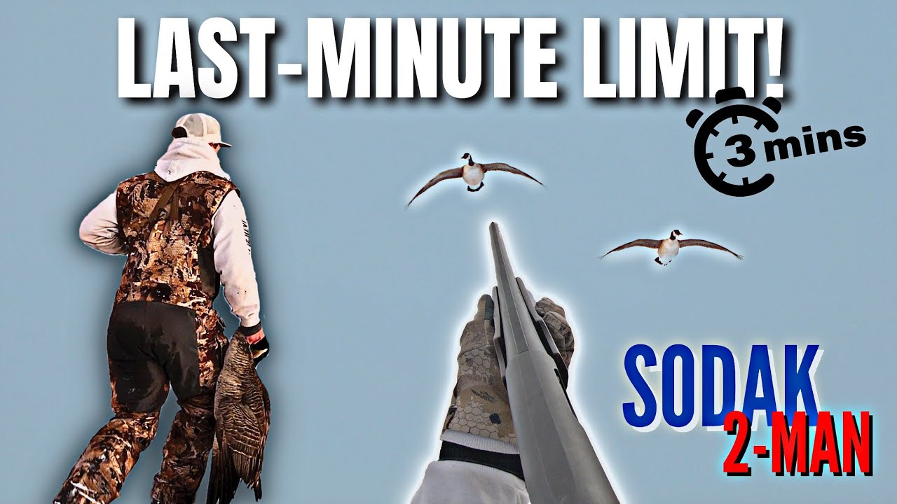 HUNTING Late-Season Geese with FULL BODIES Only! | (10-Yard SHOTS)