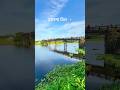 ডালপা বিল, মকিমপুর, কুমিল্লা। #shorts #nature #explore #travel #trending