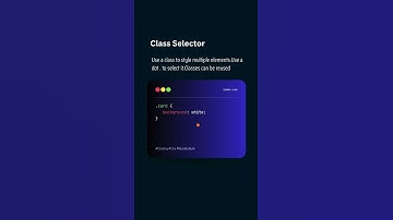 Web Dev CSS 105: Class vs ID Selector 🎯 #coding #programminglanguage #comedy #entertainment #quiz