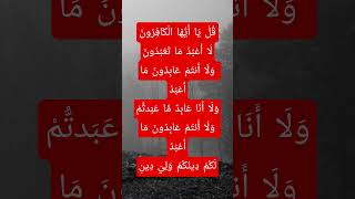 Islamic  Tilawat  Quran Tilawat  Al Quran quran shorts subscribe shortsfeed tilawat
