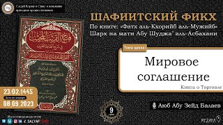 9 урок  Книга Закята   ШАФИИТСКИЙ ФИКХ   Аюб Абу Зейд Балаев  САЛЯФТУБ