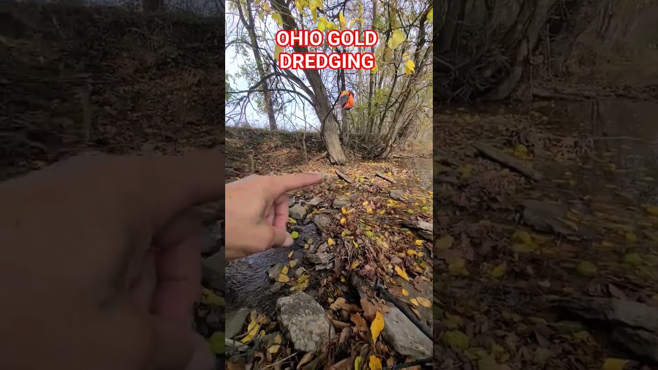 DD CLAIM OSPA GEORGETOWN MVP gold prospecting ohio creek river valley how to learn like dredging