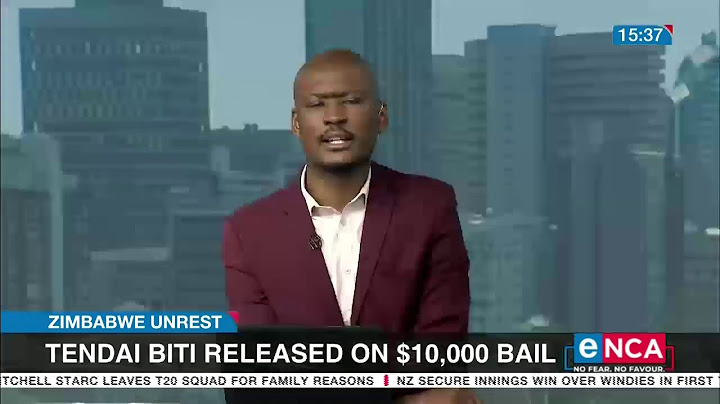 Zimbabwe unrest | Tendai Biti released on 10 000 bail