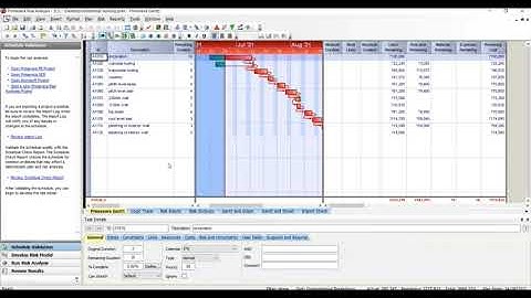 CPM (Risk analysis) - Project assignment for Skyfi Labs Online Course  by-R.Sai Kiran