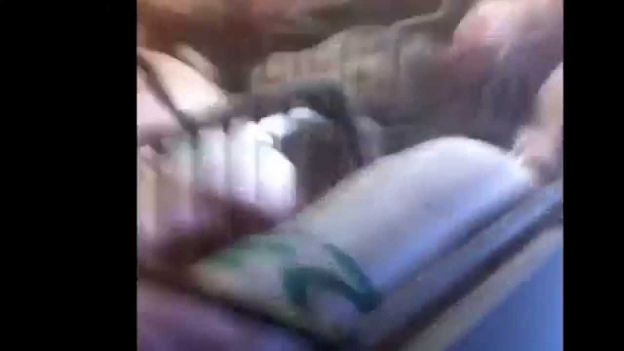 ������������