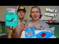 UNBOXING MYSTERY FISH SENT THRU THE MAIL..