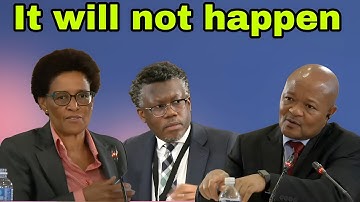 Adv Sello Mahlape challenge Adv Tembeka Ngcukaitobi & Senzo Mchunu for trying to flip case.