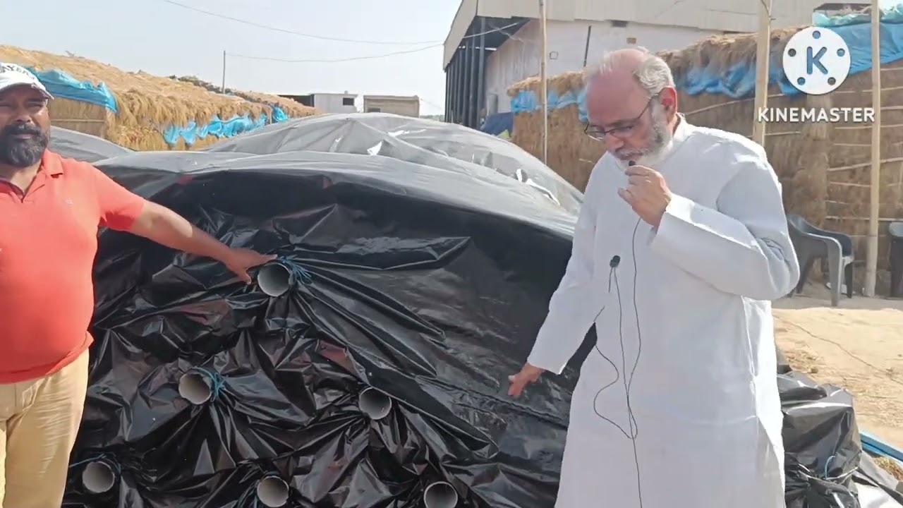 147.बटन मशरूम कम्पोस्ट बनाने की पाईप विधी का प्रदर्शन SVM Lab&Tr.CentreNarela(Delhi-40)