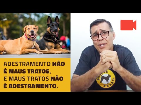 Adestramento não é maus tratos, e maus tratos não é adestramento.