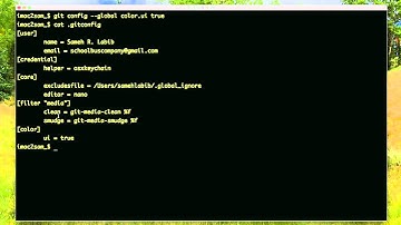 Git Color and Nano added to Configuration