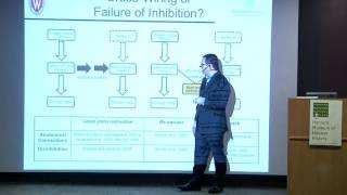 Edward Hubbard, U Wisconsin-Madison, Developing & Decoding Synesthesia