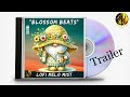 Blossom beats album trailer  live now  lofi melo mist