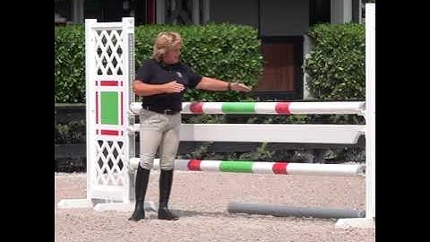 Walking a Line of Jumps and Adjusting Your Strides (Masterclass Trailer) - Helena Stormanns