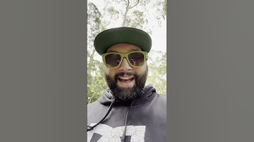 Supabase Logs amongst the logs (trees) // Day 1 #SupaLaunchWeek 7