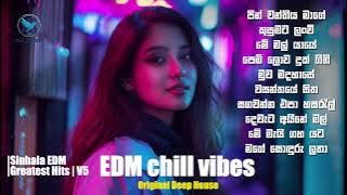 Sinhala EDM MixTape 5 Top 10 | Avi beats