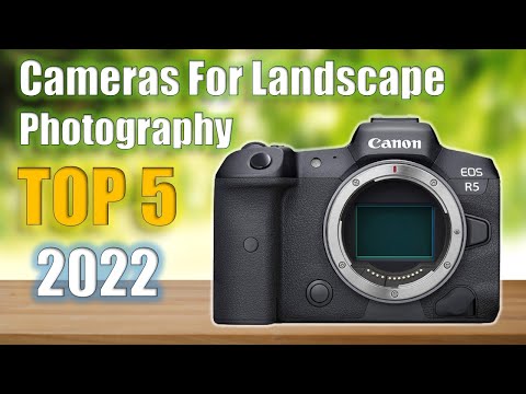 What Is The Best Digital Camera For Landscape Photography?