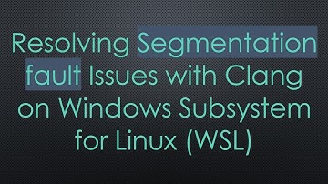 Resolving Segmentation fault Issues with Clang on Windows Subsystem for Linux (WSL)