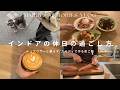 【vlog】#42 インドアの休日の過ごし方/シュナウザーと暮らす/カルディで夜ご飯/自炊