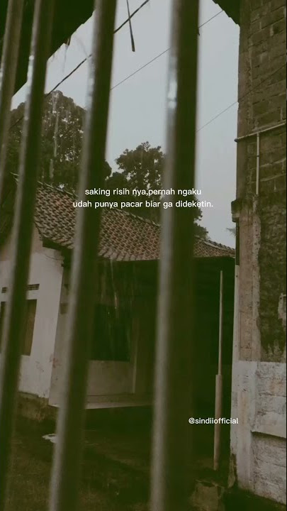 story wa terbaru 30 detik || Story wa kekinian