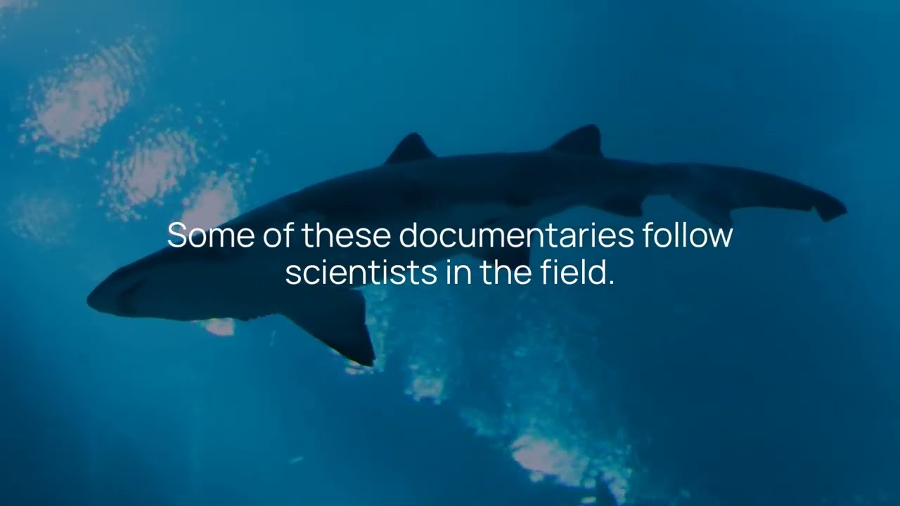 The Best Shark & Ocean Documentaries People Always Ask Me About my video