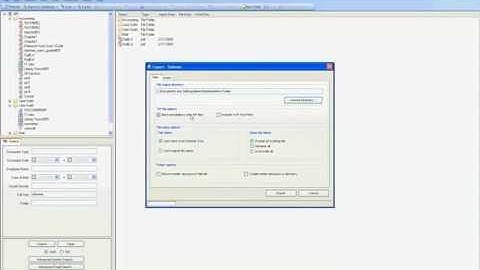 QLS | Dokmee Export Files | Document Management Software