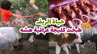 حياة الريف : وصفة طبخ كليجة عراقية هشه | جولة في مزرعة الحيوانات | بقرات + اوز + دجاج + ماء