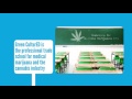 Bud Tender School and Training from Green CulturED