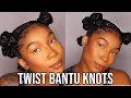 Natural Hairstyles: Twist Bantu Knots (w/Hair) - Cute &amp; Easy Protective Style!