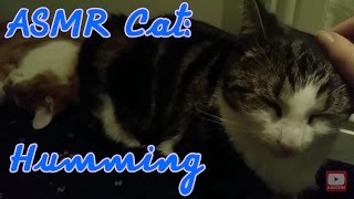 *Tiny Tingles* | ASMR Cat: Quiet Humming Songs and Purring, Sleepy, Cute Cats [no talking] by ASMR Cat Sounds 1,899 views 7 years ago 6 minutes, 29 seconds