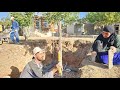Grandma S Cooking Secrets From Dream Garden To Pool Concreting Grandma S Cooking Secrets From Dream Garden To Pool Concreting