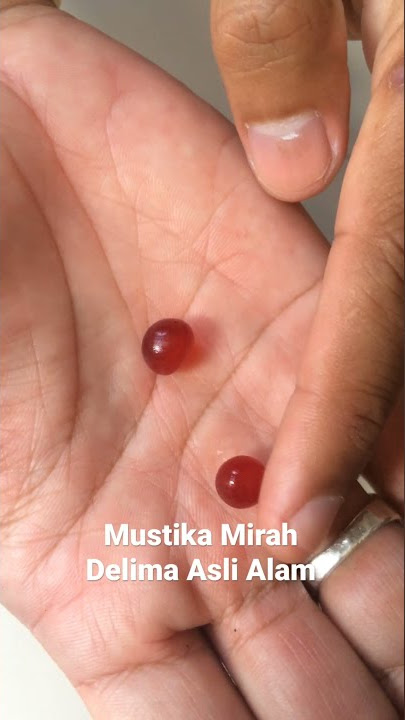 Mustika Merah Delima (MD) Asli Alam