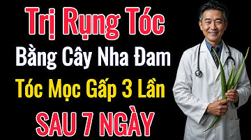 Cách Trị Rụng Tóc Bằng Nha Đam – Mọc Tóc Nhanh Gấp 3 Lần, An Toàn Tại Nhà!