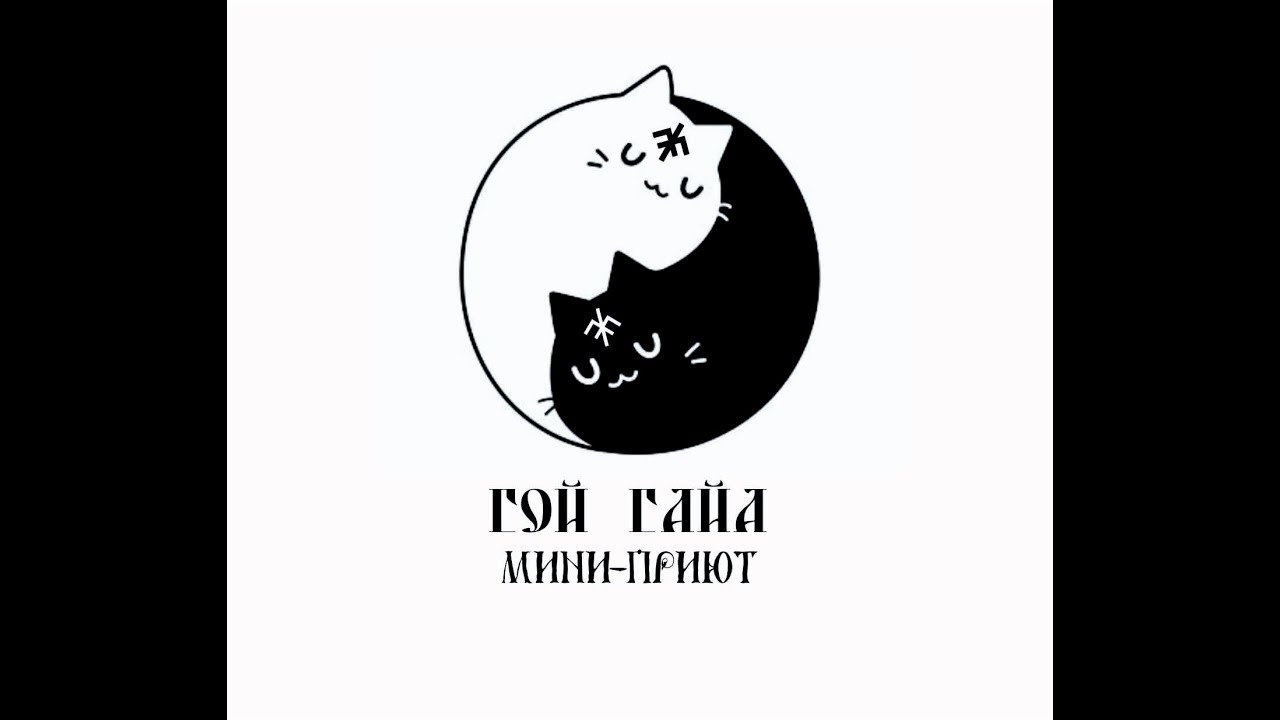 В гостях у кошки Сони) - YouTube