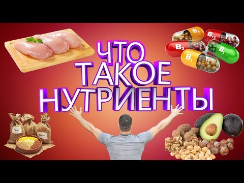 # 3. Что такое нутриенты.