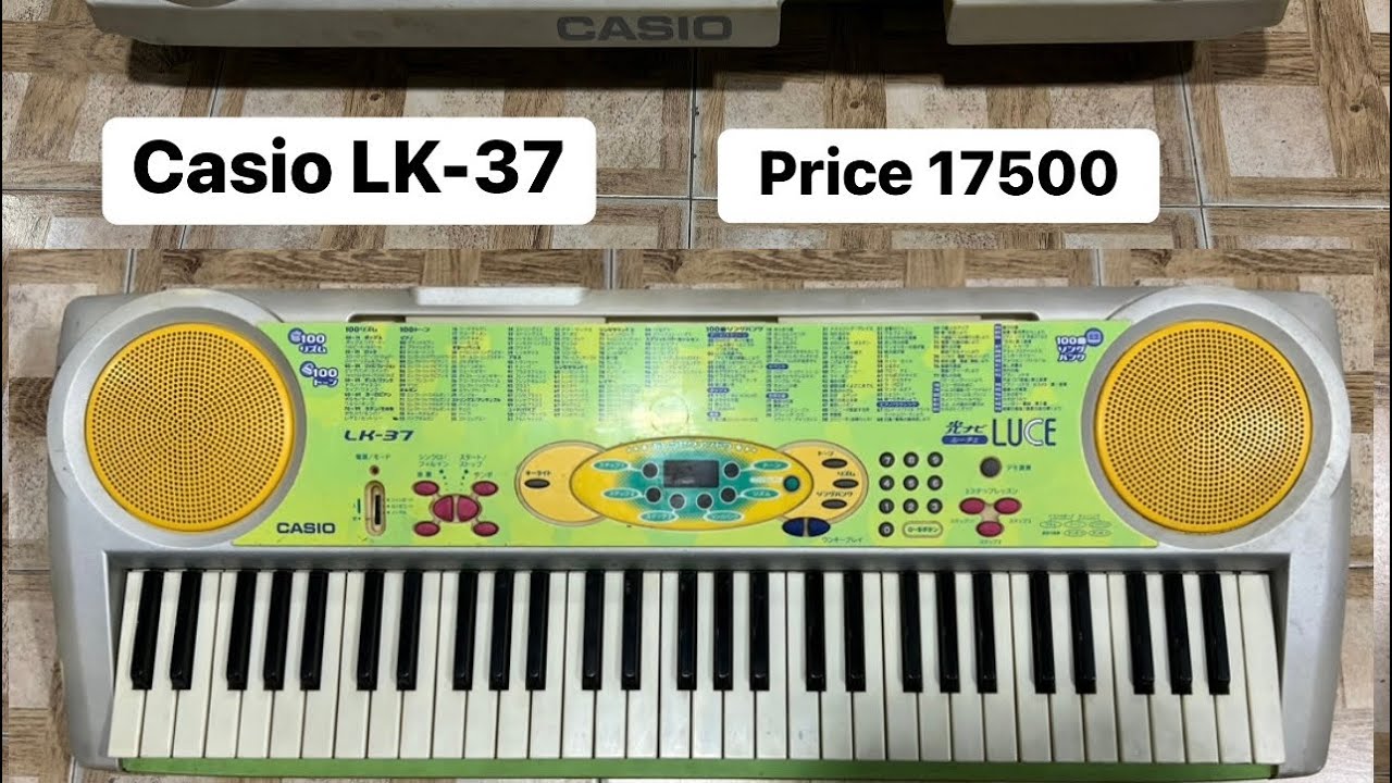 CASIO LK-37 電子キーボード Casio LK-37 Keyboard ( Wilsons Music Instruments Whatsapp No