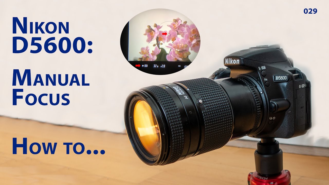 Nikon D5600: How to work with manual focus using the viewfinder - YouTube