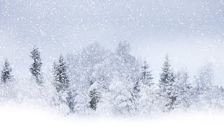картинка: интересные стихи часть 51
