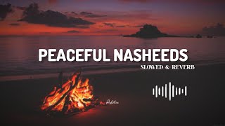 5 Best Nasheeds playlist | Slowed & reverb | Trending Nasheeds | Arabic Nasheed without music #viral