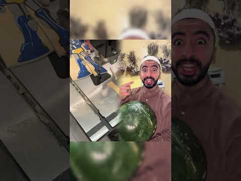 بطيخة ب10 جنيه بطيخ فاكهة ضحك صيف الدسوقي
